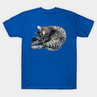 Sleeping Tabby T-Shirt